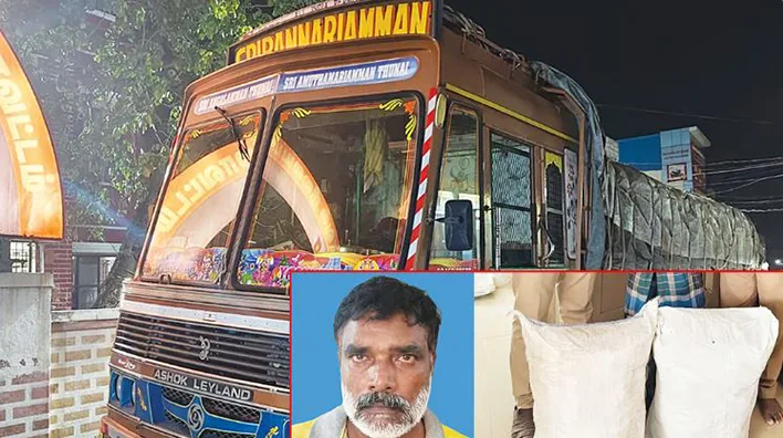 லாரியில் கஞ்சா மூட்டைகள் கடத்தி வந்தவர் கைது - லாரி பறிமுதல்