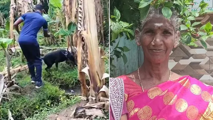 கரூர் அருகே வாழைத் தோட்டத்துக்கு புல் அறுக்கச் சென்ற மூதாட்டி கழுத்தறுத்து கொலை