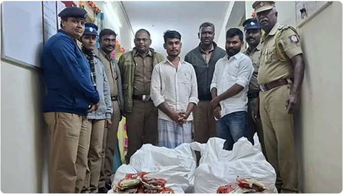 குன்னுரில் தடை செய்யப்பட்ட புகையிலை பொருட்கள் கடத்திய இருவர் கைது - 140 கிலோ புகையிலை பொருட்கள் பறிமுதல்